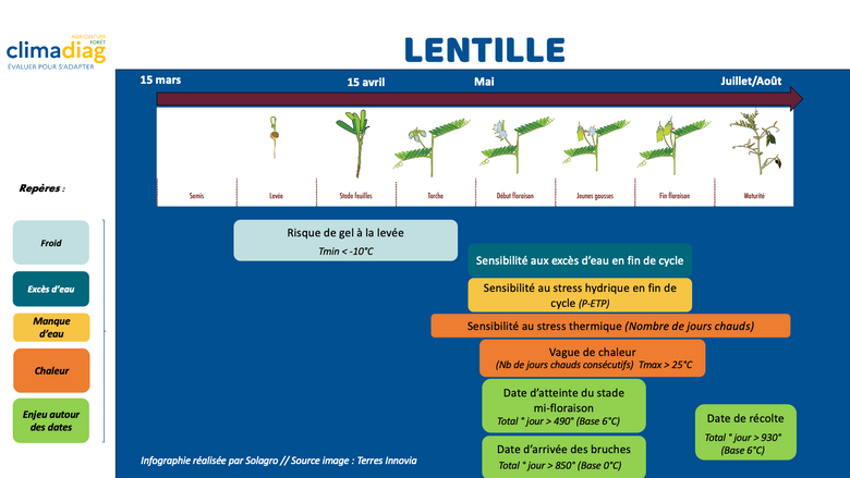 Lentille