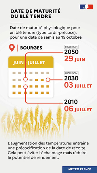 Date de maturité du blé tendre - Météo France Solagro