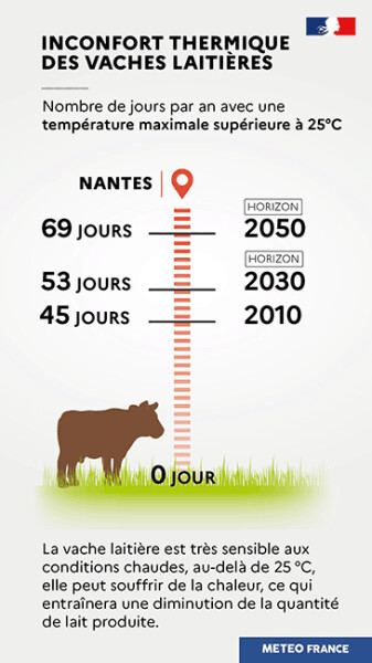 Inconfort thermique des vaches laitières - Météo France Solagro