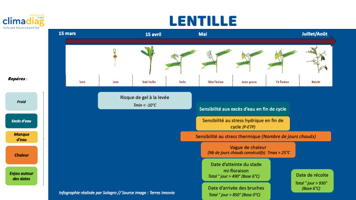 Lentille - indicateur Climadiag Agricuture Solagro