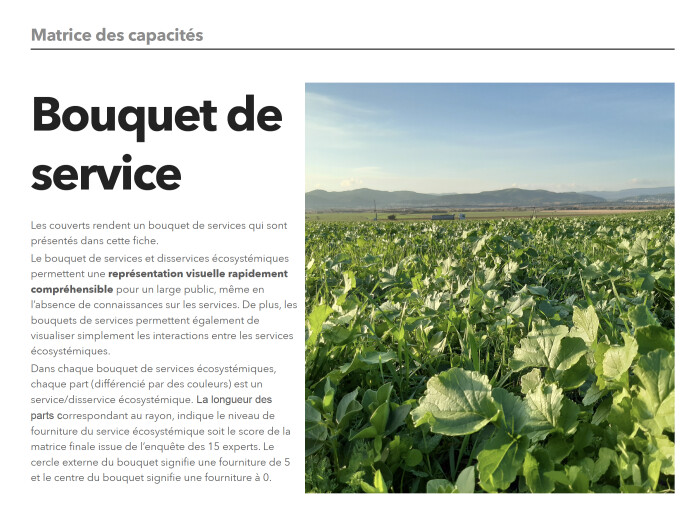 Bouquet de service Solagro