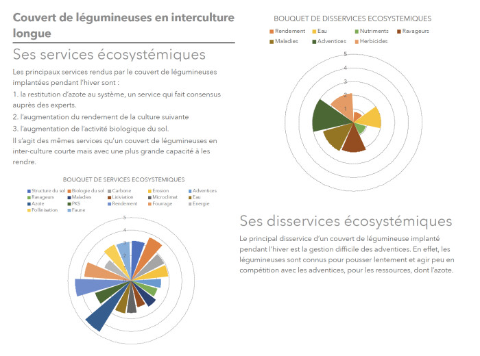 Bouquets de services