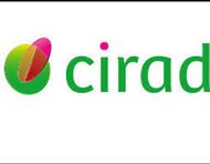 logo CIRAD
